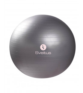 Sveltus Gym Ball 65 cm